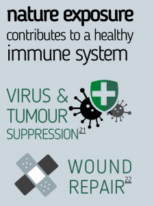Infographic Demonstrating: Nature exposure contributes to a healthy immune system by: (1) Virus and tumour suppression and (2) wound repair 