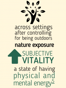 infographic demonstrating: (1) across setting after controlling for being outdoors, nature exposure increases subjective vitality, which is a state of having physical and mental energy