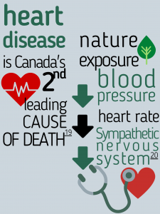 Infographic Demonstrating: (1) heart disease is Canada's second leading cause of death, (2) nature exposure can decrease blood pressure, decrease heart rate and decrease sympathetic nervous system activation 
