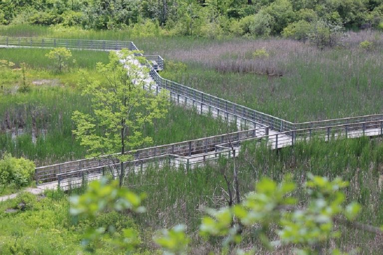 Kerncliff Park - Nature @ McMaster