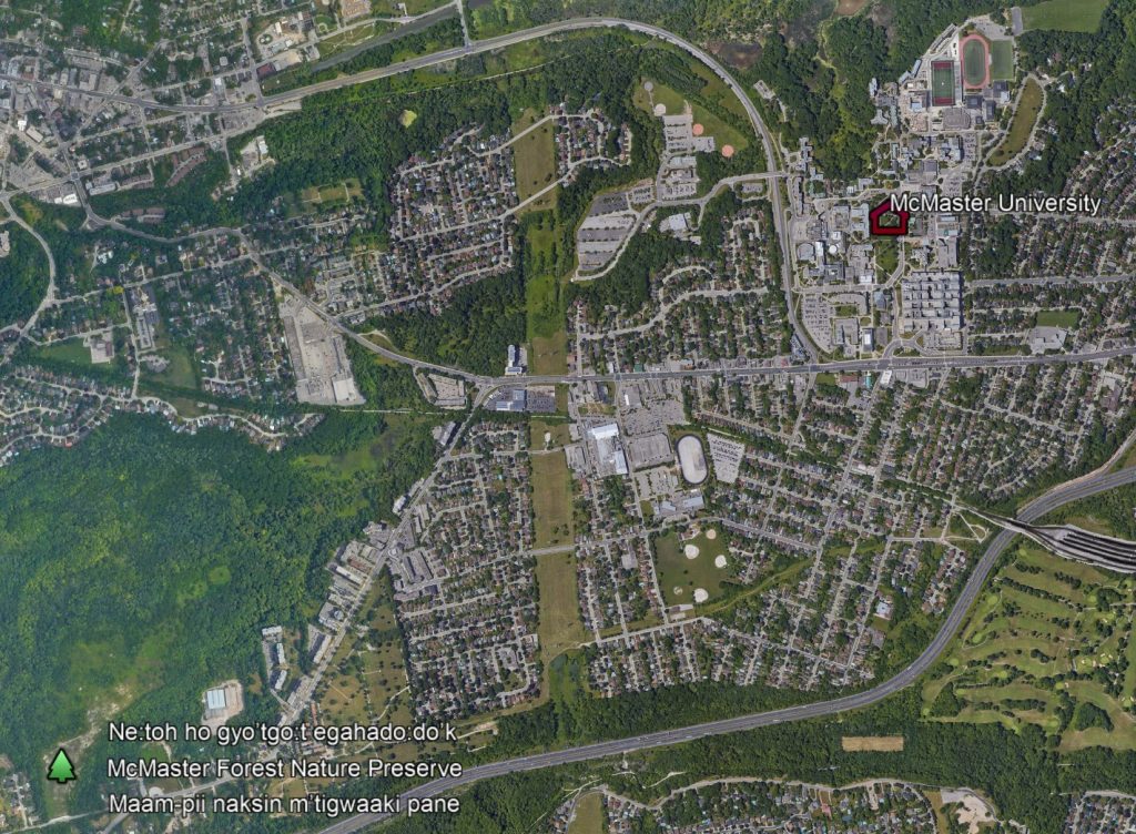 Satellite map depicting McMaster Main Campus and McMaster Forest.