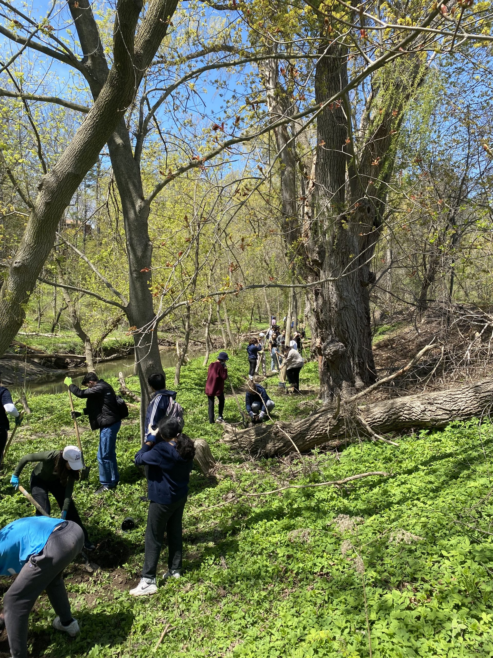 Landowner Engagement: Invasive Species Removal - Nature @ McMaster