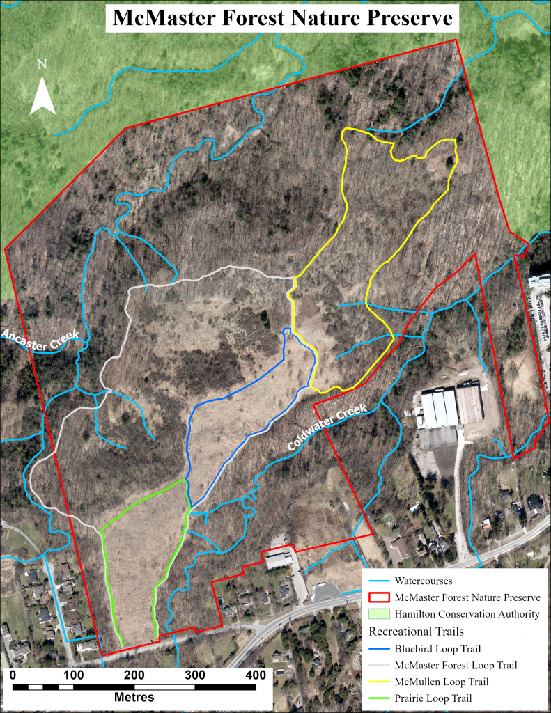 Recreational Trails - Nature @ McMaster